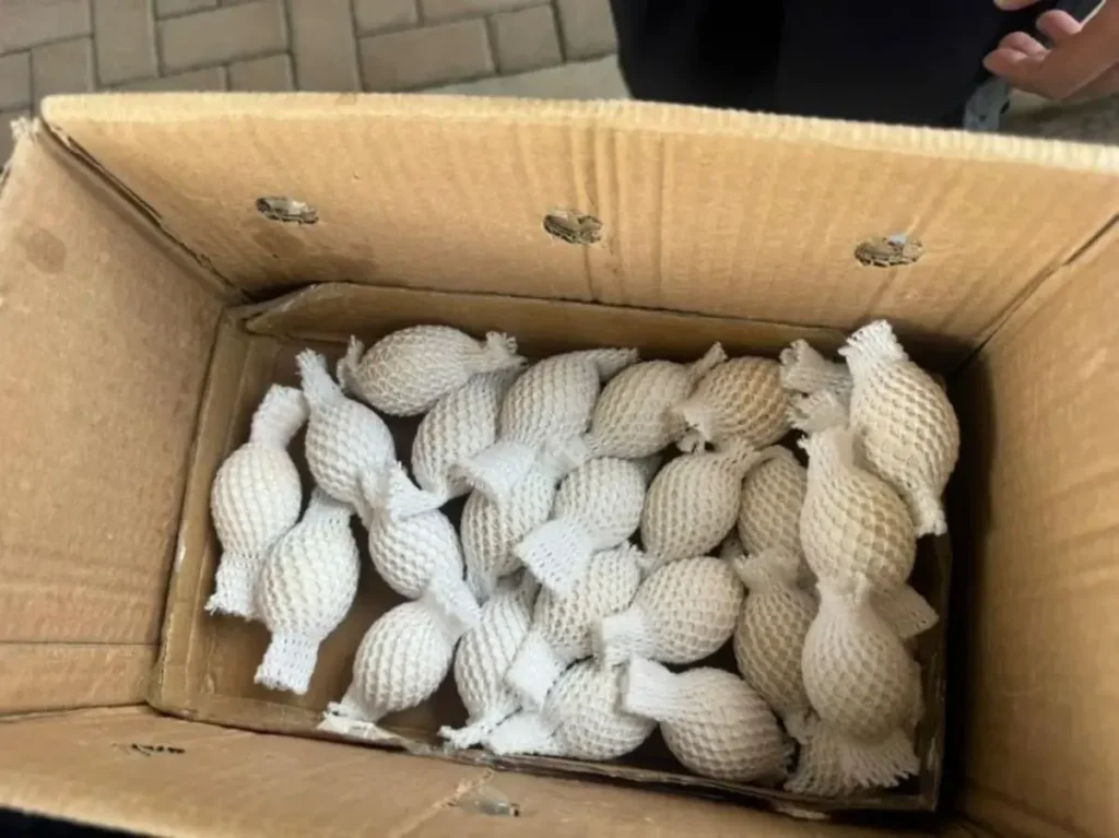 Casal chinês é flagrado com 32 ovos de até 282 mil