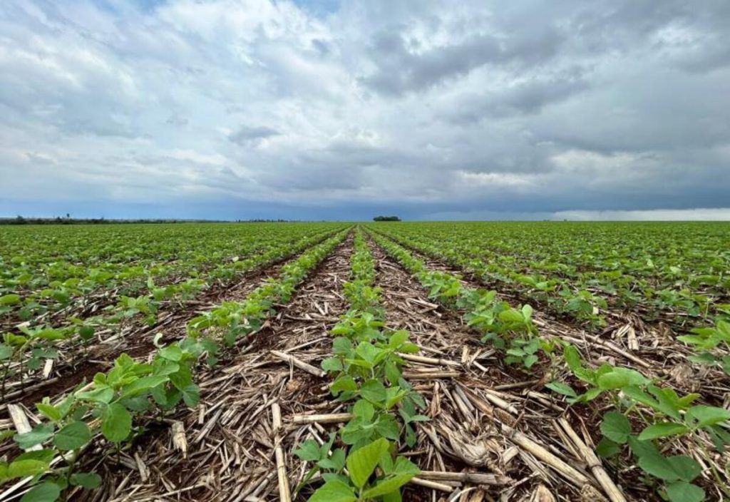Crédito Rural cai 20,2% e custo da soja supera R$ 5 mil por hectare