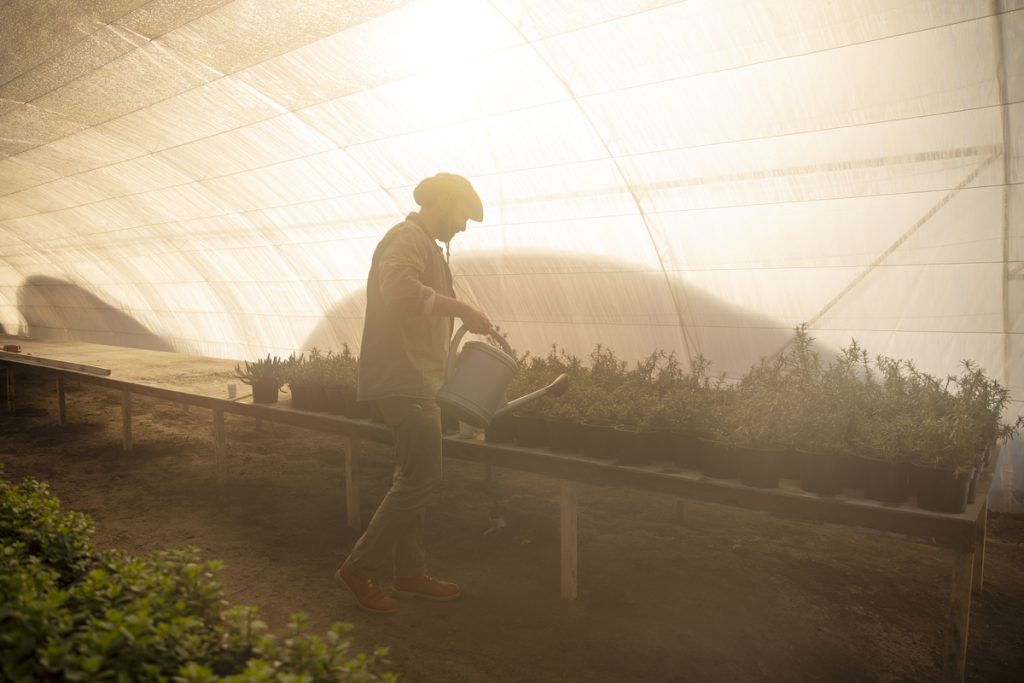Agro bate recorde histórico de empregos no 2º trimestre de 2026
