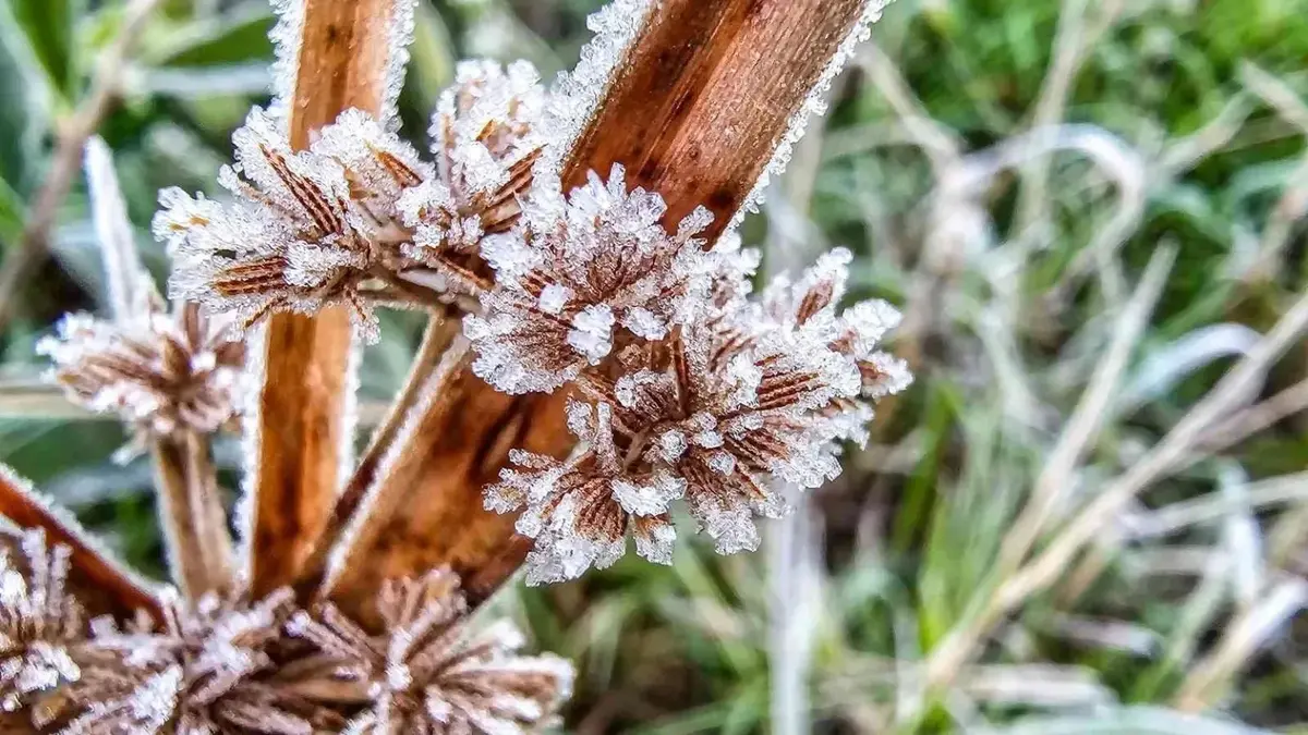 Estado tem frio abaixo de zero em plena primavera