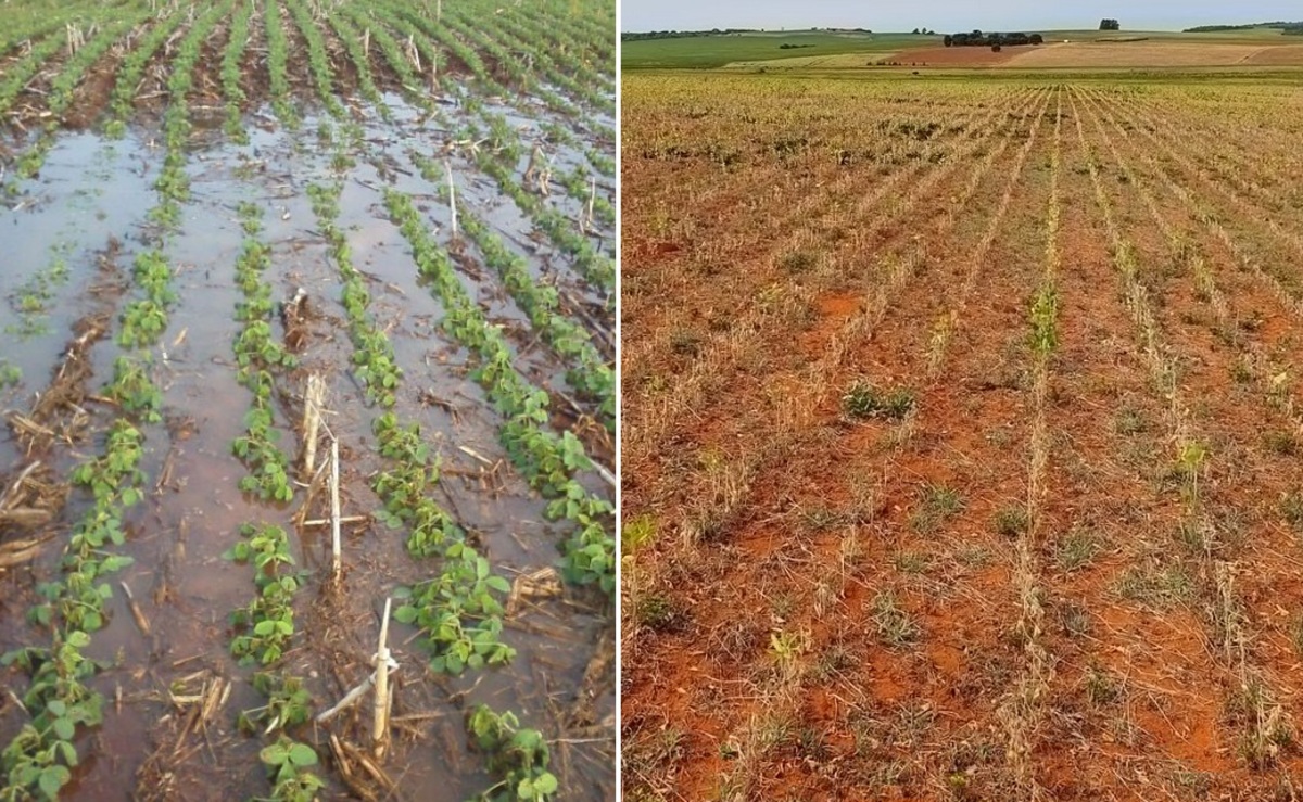 Riscos para a safra: Chuva no Sul e seca no Norte