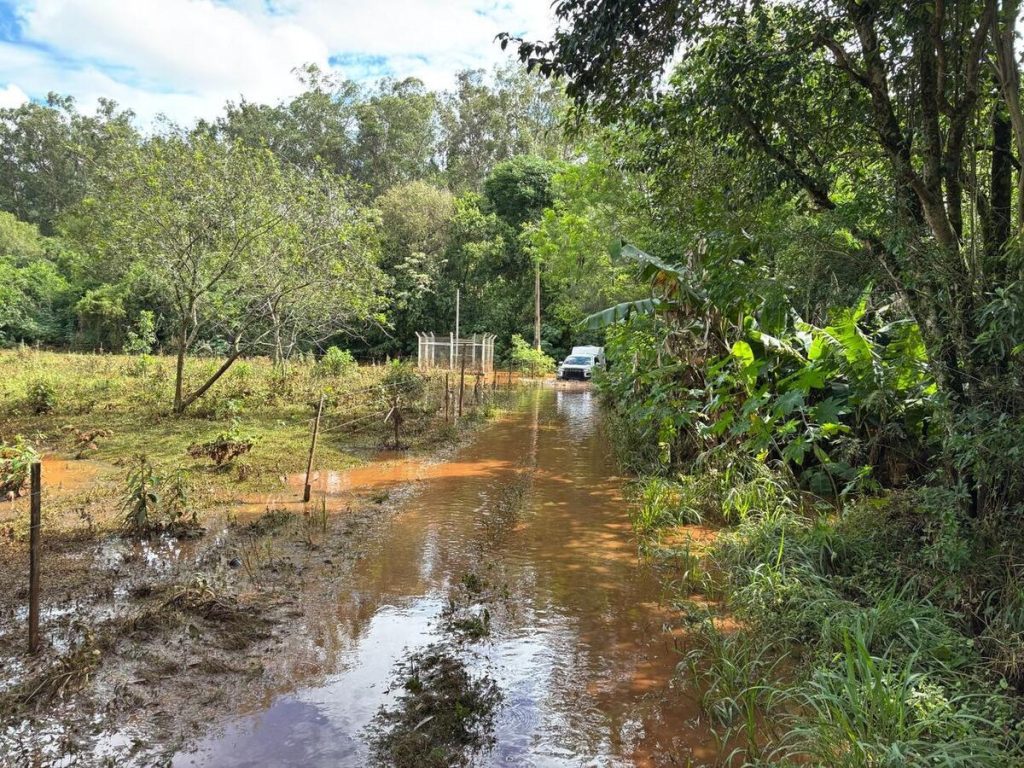 Famílias e animais de área rural atingidos por alagamentos pedem ajuda